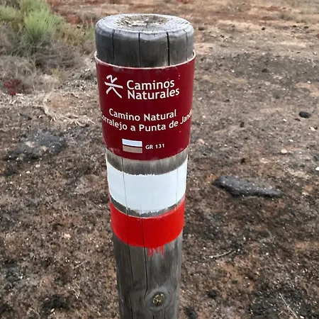 Cozy Boho House In Appartement