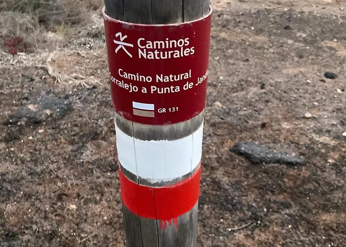 Cozy Boho House In Appartement