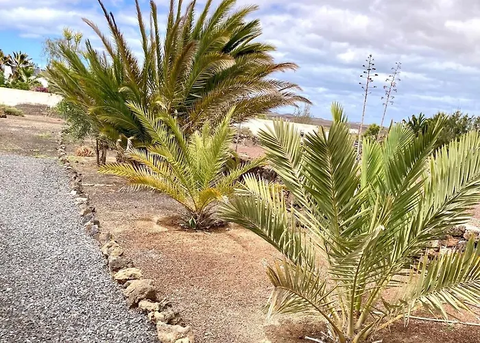 Cozy Boho House In Apartament